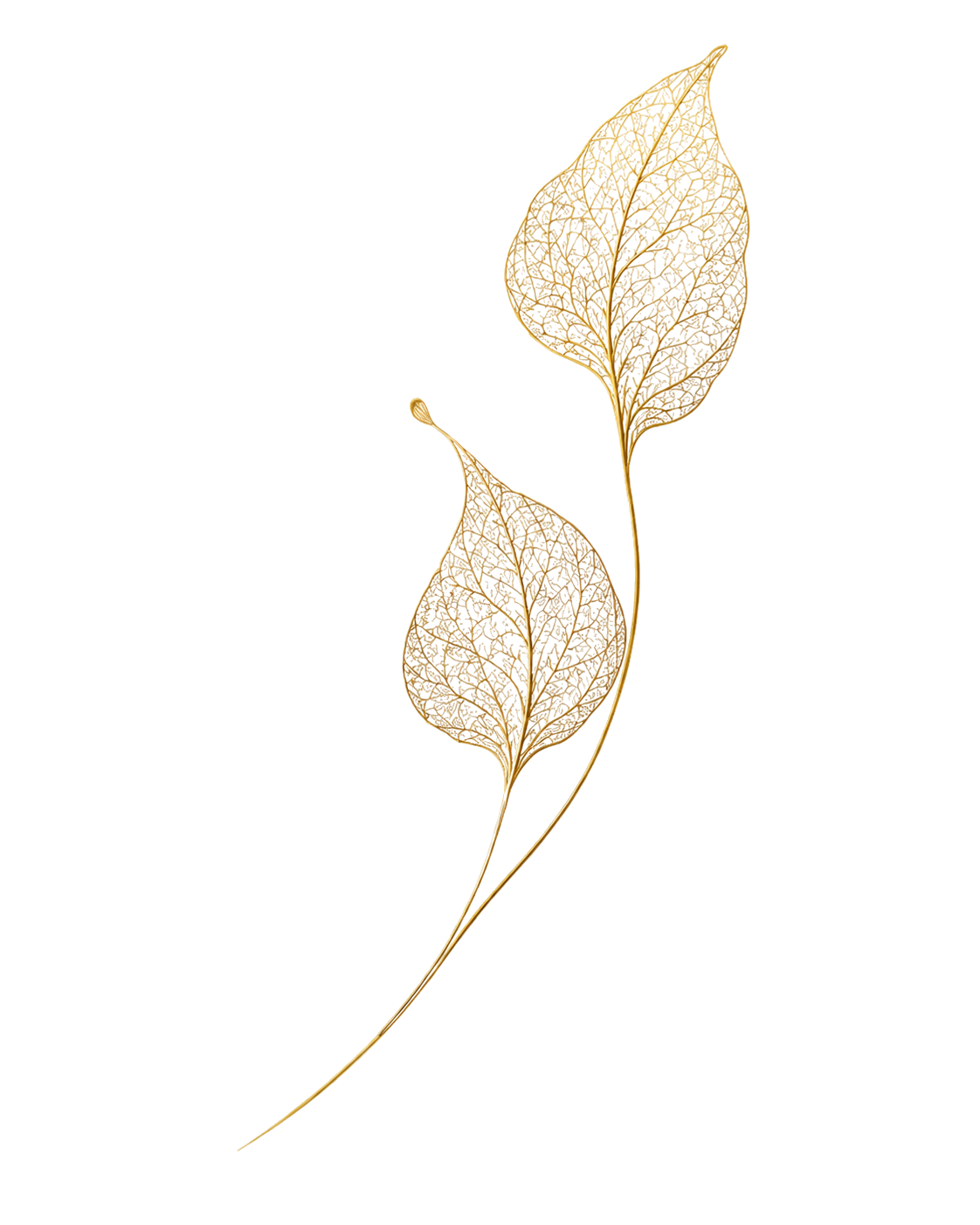 Feuilles d'or TAIZHEN